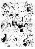 finalb.gif