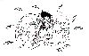 Filename=sorrywarner.gif
Filesize=11KiB
Dimensions=396x252
Date added=Dec 28, 2007 sorrywarner.gif