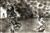 Filename=Hakuchou.jpg
Filesize=196KiB
Dimensions=1000x660
Date added=Oct 22, 2011 Hakuchou.jpg